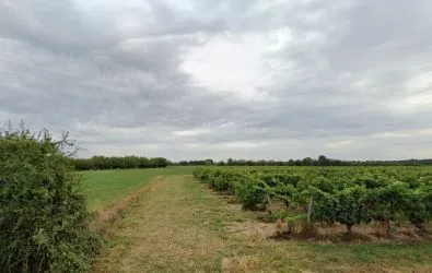 Image Terrain à bâtir de 417 m² à NOTRE-DAME-D'ALLENCON (49)