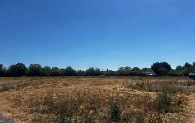 Image Terrain à bâtir de 428 m² à BELLEVIGNE-EN-LAYON (49)